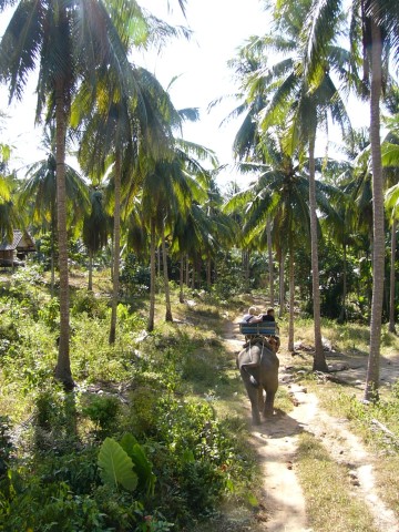 C-S ride down the trail